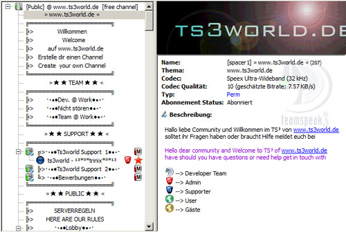 Öffentliche TS3 Server