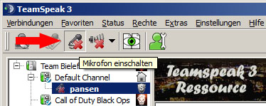 Mikrofon im Teamspeak 3 Client einschalten